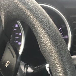 Meet your Posher, Lilly